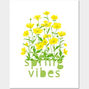 Spring Vibes. Buttercup Flowers Posters and Art